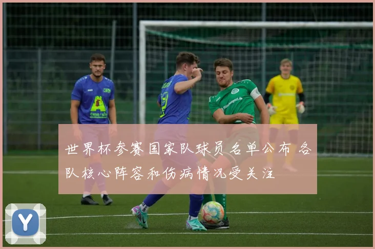 世界杯参赛国家队球员名单公布 各队核心阵容和伤病情况受关注