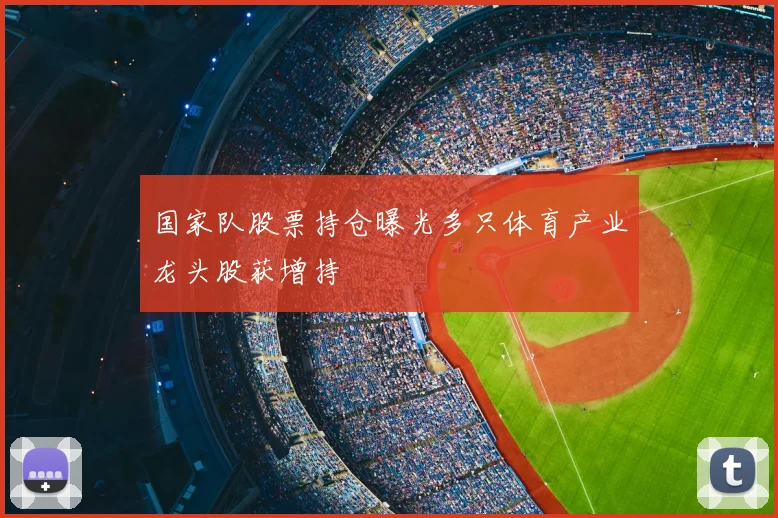 国家队股票持仓曝光多只体育产业龙头股获增持