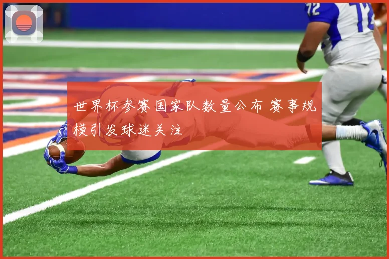 世界杯参赛国家队数量公布 赛事规模引发球迷关注