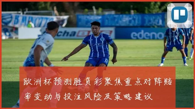 欧洲杯预测胜负彩聚焦重点对阵赔率变动与投注风险及策略建议