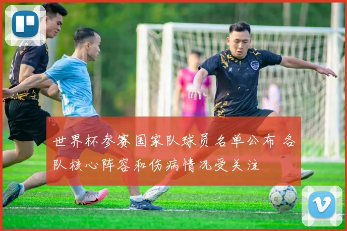 世界杯参赛国家队球员名单公布 各队核心阵容和伤病情况受关注