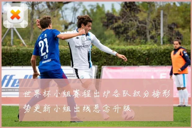 世界杯小组赛程出炉各队积分榜形势更新小组出线悬念升级